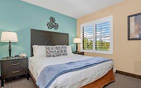 Near Disney - 1Br With King Bed - Pool And Hot Tub